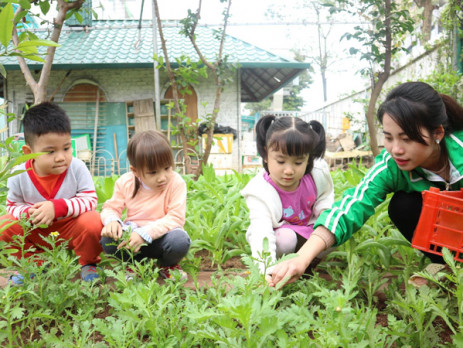 Cô hướng dẫn từng bạn cách thu hoạch rau cải cúc đúng.