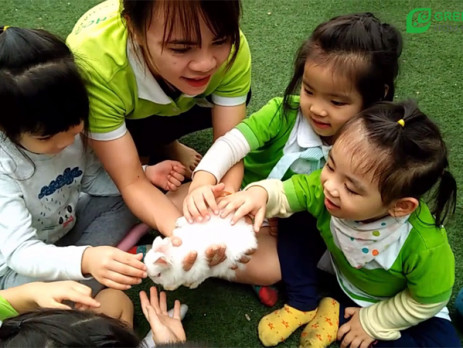 ? Dự án “Thỏ con tinh nghịch” như một món quà ấm áp tháng 3 của Green Shool dành tặng các bạn nhỏ khối Thủy Tiên.