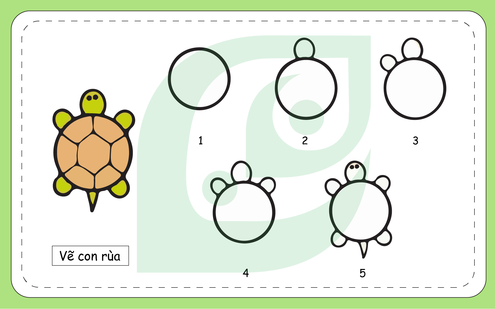 Cách vẽ con rùa  Dạy Vẽ