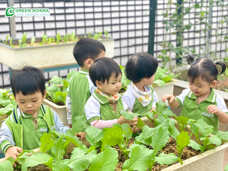 Hoạt động bé chăm vườn rau