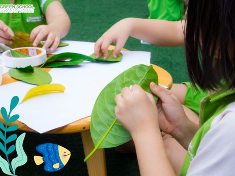 Nên cho con học trường mầm non công hay tư